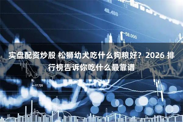 实盘配资炒股 松狮幼犬吃什么狗粮好？2026 排行榜告诉你吃什么最靠谱