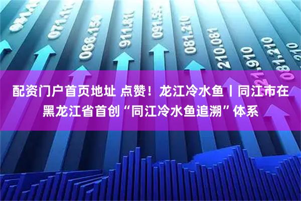 配资门户首页地址 点赞！龙江冷水鱼丨同江市在黑龙江省首创“同江冷水鱼追溯”体系